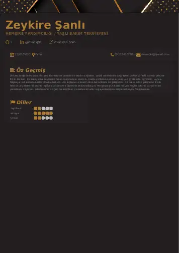 Hasta ve Yaşlı Bakım Elemanı Cv Örnekleri cv indir